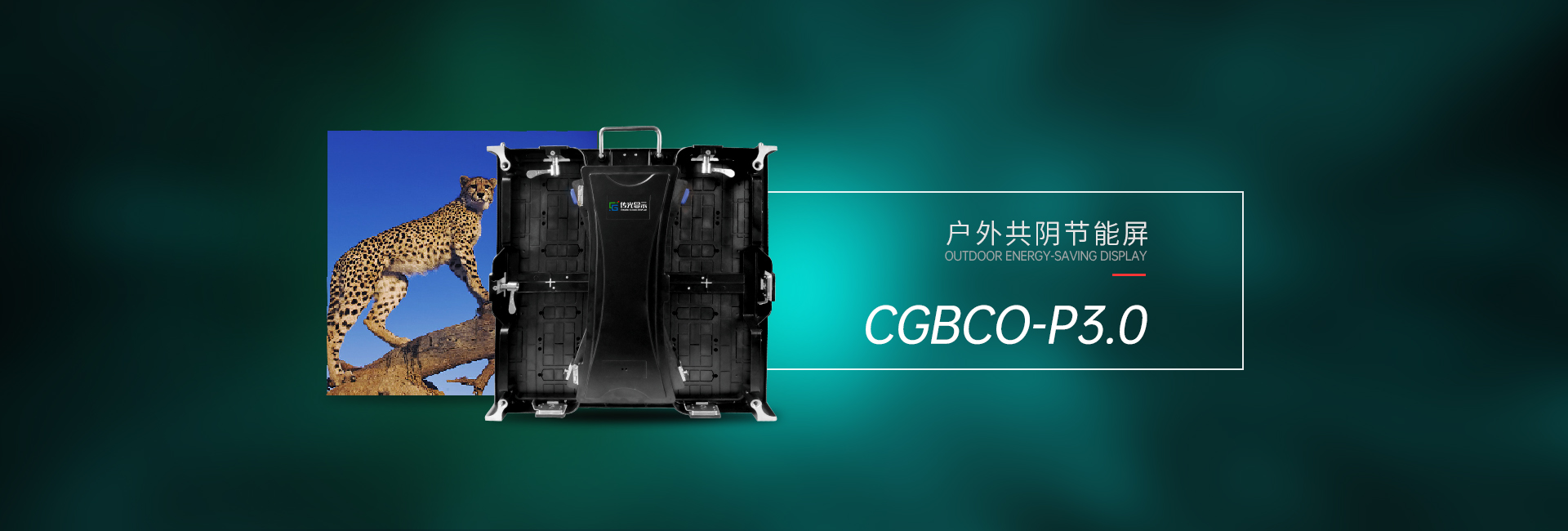 户外共阴CGBCO-P3(图1)