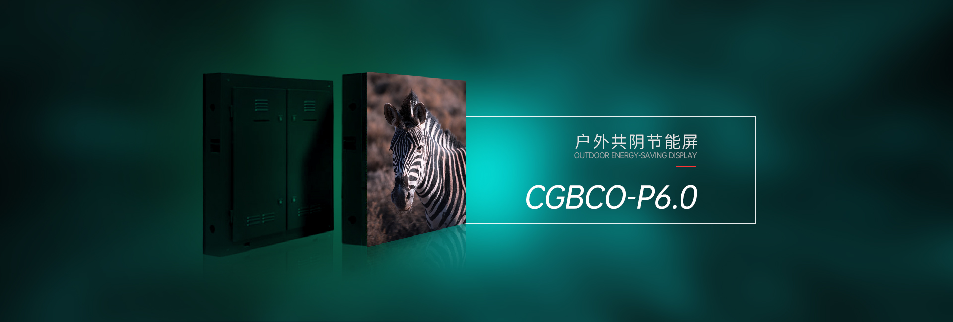 户外共阴CGBCO-P6(图1)