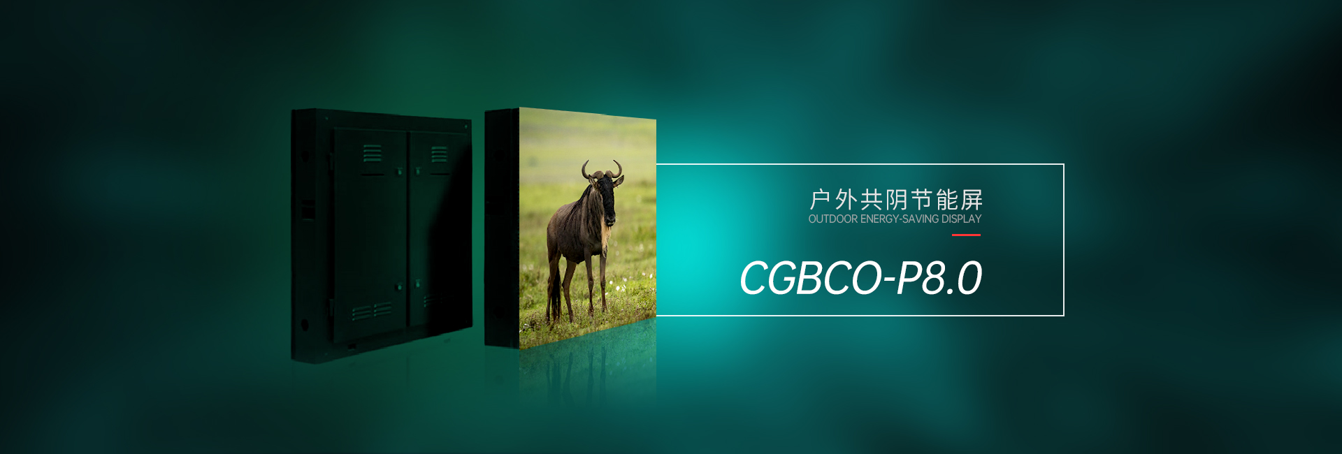 户外共阴CGBCO-P8(图1)