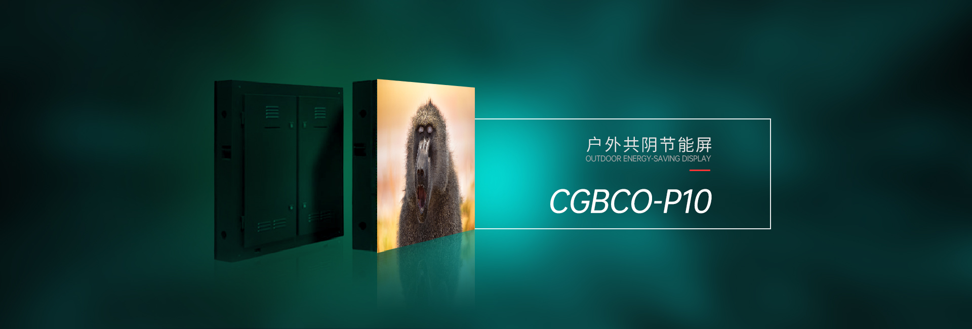 户外共阴CGBCO-P10(图1)