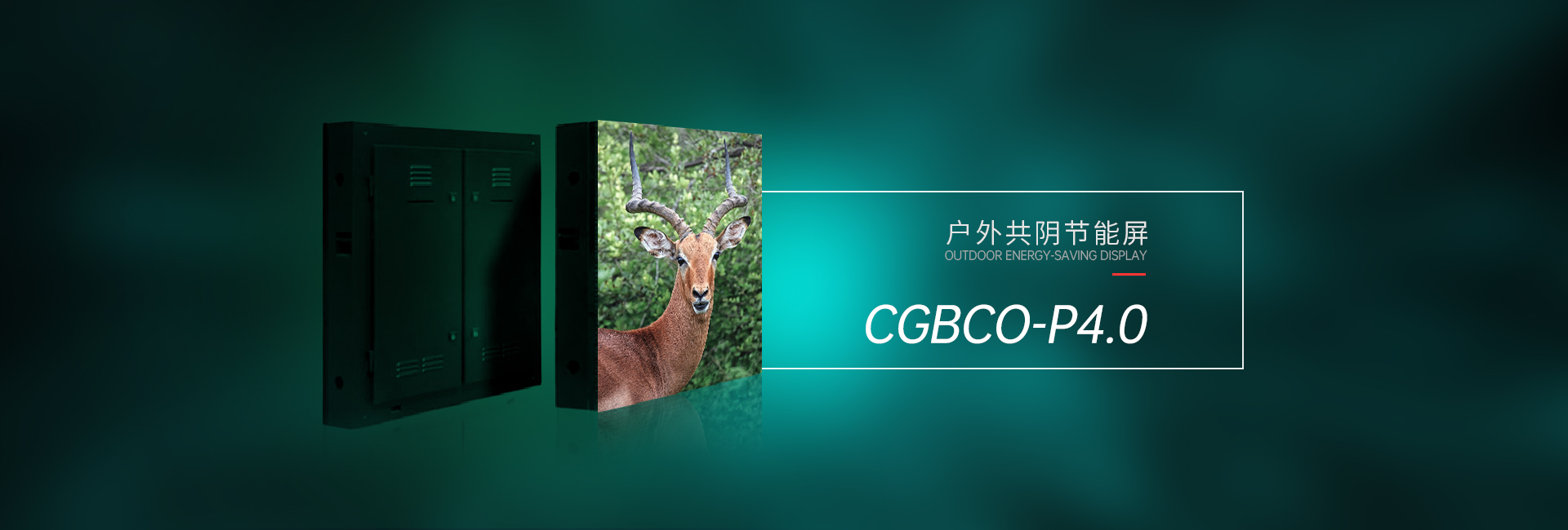 户外共阴CGBCO-P4(图1)