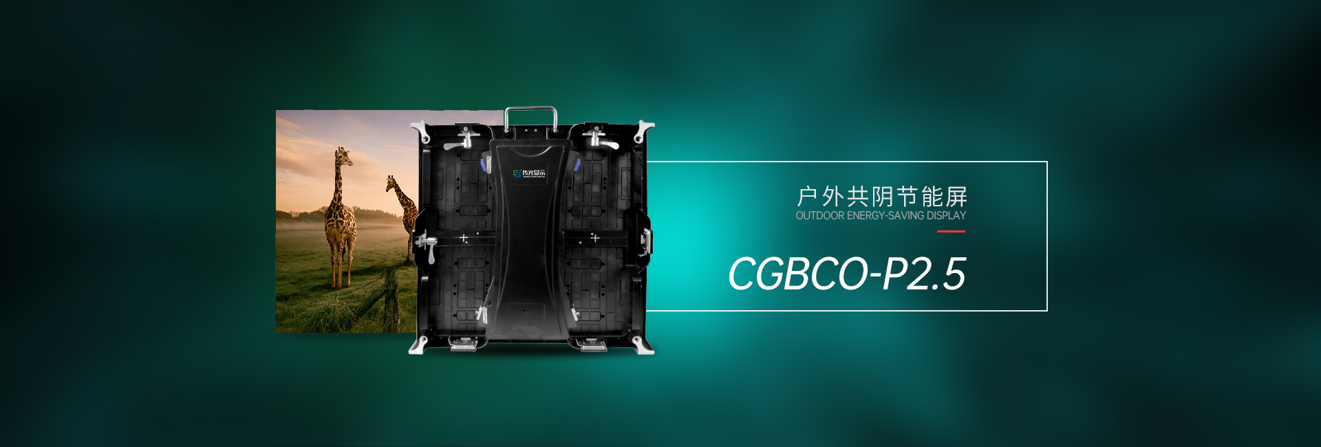 户外共阴CGBCO-P2.5(图1)